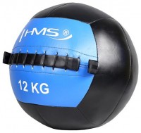 Wall ball WLB 12 kg 