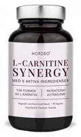 L-Carnitine Synergy 90 kapslí 