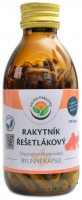 Rakytník řešetlákový 120 kapslí Hippophae rhamnoides 