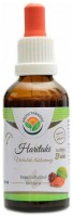 Haritaki AF tinktura 50 ml Terminalia chebula 