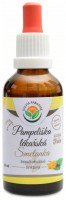 Pampeliška lékařská AF tinktura 50ml 