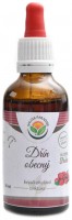 Dřín obecný AF tinktura 50 ml Cornus mas 