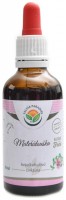 Mateřídouška AF tinktura 50 ml Thymus serpyllum 