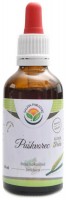 Puškvorec AF tinktura 50 ml Acorus Calamus 