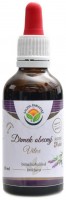 Drmek obecný AF tinktura 50 ml plod Vitex agnus-castus 
