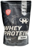 Whey protein 1000 g natural bez příchuti 
